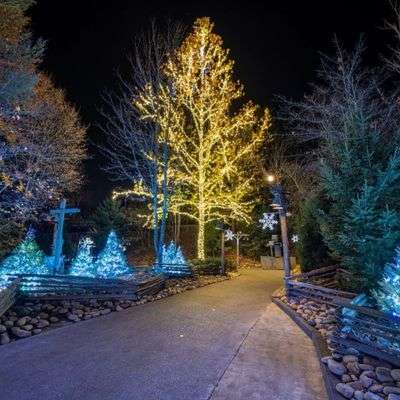 Best Pigeon Forge Hotels to Stay at During Winterfest